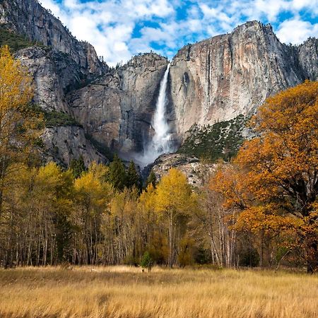 فيلا High End A-Frame - Hot Tub - Awesome Views - Yosemite - Electric Vehicle Friendly - Sleeps 10 آوكهيرست المظهر الخارجي الصورة
