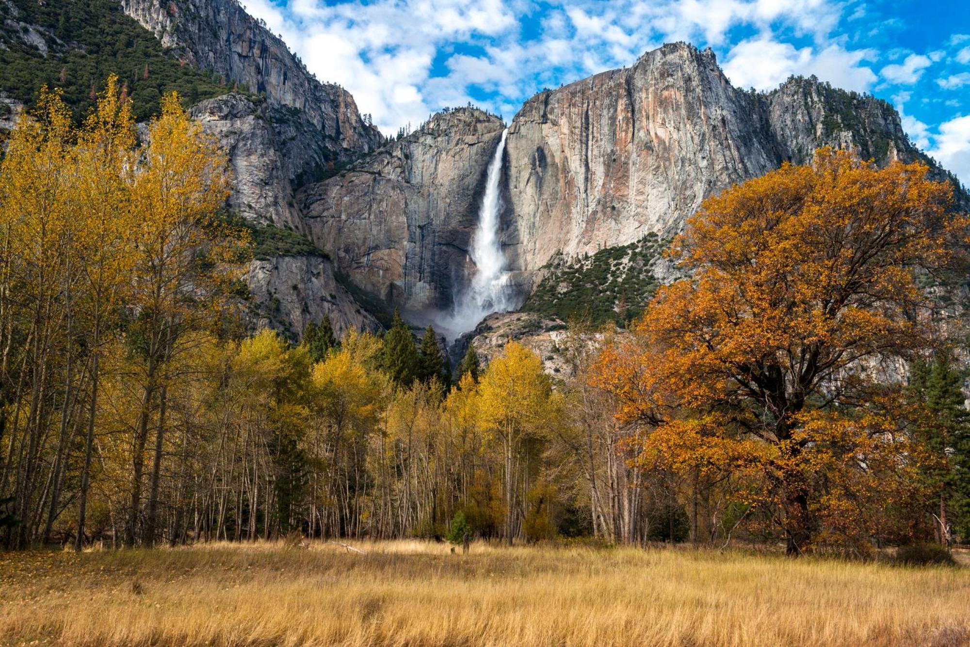 فيلا High End A-Frame - Hot Tub - Awesome Views - Yosemite - Electric Vehicle Friendly - Sleeps 10 آوكهيرست المظهر الخارجي الصورة
